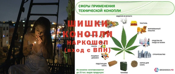 стафф Гусь-Хрустальный