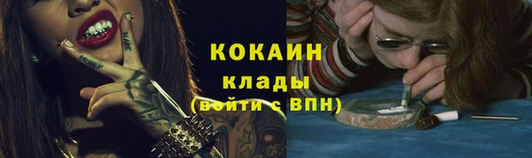 PSILOCYBIN Гусев