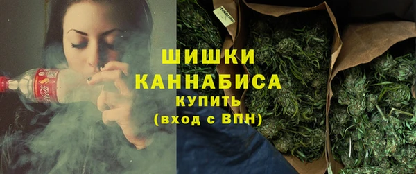 стафф Гусь-Хрустальный