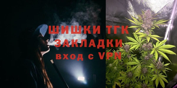 PSILOCYBIN Гусев