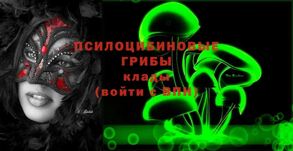 PSILOCYBIN Гусев