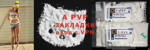 PSILOCYBIN Гусев